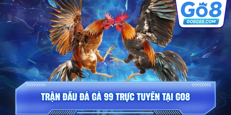 Trận đấu đá gà 99 trực tuyến tại Go8.